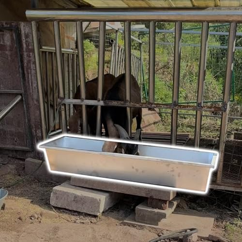 Futtertrog für Tiere, aus Edelstahl, langlebige Futterspender und Tränken für Ziegen, Schweine, Alpakas und Kälber, ideal für den Außenbereich von Generisch