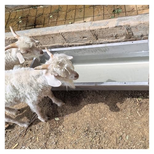 Futtertrog für Vieh, tragbares Edelstahl-Design für einfache Reinigung und Haltbarkeit in der Landwirtschaft und Geflügelbetrieb Futtertrog für Vieh, tragbares Edelstahl-Design für einfache Reinigung und Haltbarkeit in der Landwirtschaft und Geflügelbetrieb von Generisch