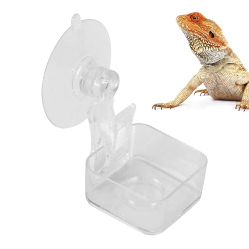 Gecko-Futternapf | Saugnapf-Futterschale Für Reptilien,Praktischer Napf Für Tierfütterung, Trinken & Einfache Reinigung Im Wohnzimmer, Garten Und Balkon Gecko-Futternapf | Saugnapf-Futterschale Für Reptilien,Praktischer Napf Für Tierfütterung, Trinken & Einfache Reinigung Im Wohnzimmer, Garten Und Balkon von Generisch