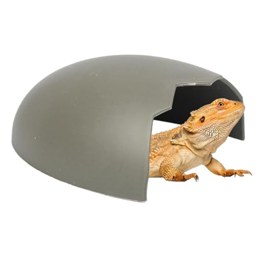 Gecko-Versteck mit Haube, Reptilien-Kletter-Dekoration, Eidechsen-Tankzubehör, Reptilienhöhle, kompaktes Reptilienverstecke und -höhlen, Gecko-Tankzubehör für Familie, Freunde, Zuhause, Eidechsen Gecko-Versteck mit Haube, Reptilien-Kletter-Dekoration, Eidechsen-Tankzubehör, Reptilienhöhle, kompaktes Reptilienverstecke und -höhlen, Gecko-Tankzubehör für Familie, Freunde, Zuhause, Eidechsen von Generisch