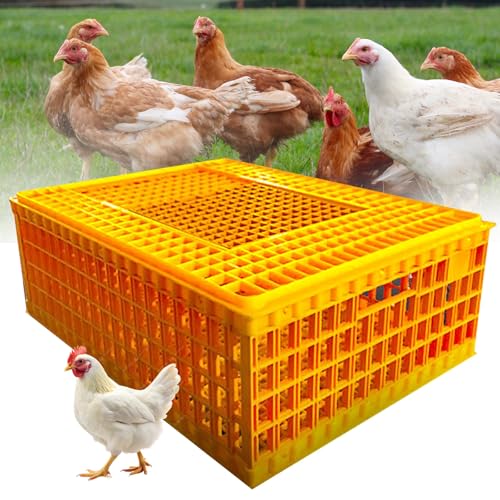 Geflügelbox Transportkäfig Kunststoff Transportkäfig für ausgewachsene Hühner, Enten, Gänse und Vögel - Atmungsaktives Design, ideal für 8-11 Hühner von Generisch
