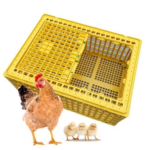 Geflügelbox - Transportkäfig für Hühner aus Kunststoff für Vögel, Enten und Gänse - Atmungsaktiver und langlebiger Tragekorb für sicheren Transport von Generisch