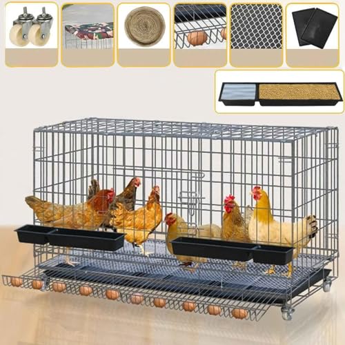 Geflügelkäfig faltbar mit Müllschale und Eierfänger, vielseitiges Hühnergehege für drinnen und draußen, sicherer Kleintierlaufstall Geflügelkäfig faltbar mit Müllschale und Eierfänger, vielseitiges Hühnergehege für drinnen und draußen, sicherer Kleintierlaufstall von Generisch