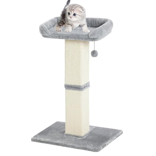 Generic Kratzbaum für Indoor-Katzen, 71,1 cm hoch, Sisal-Kratzbaum mit Plüsch-Sitzstange, großer Kratzbaum mit Bett, abnehmbarer Bezug, baumelnde Plüschbälle für alle Arten von Katzen Generic Kratzbaum für Indoor-Katzen, 71,1 cm hoch, Sisal-Kratzbaum mit Plüsch-Sitzstange, großer Kratzbaum mit Bett, abnehmbarer Bezug, baumelnde Plüschbälle für alle Arten von Katzen von Generisch