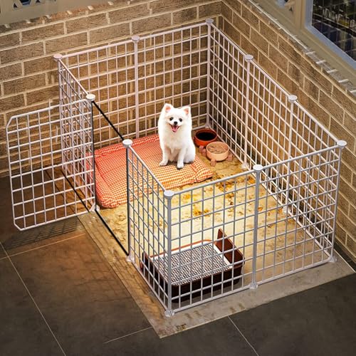 Generic Premium Haustier-Laufstall – Vielseitiges Hunde- und Katzengehege für Welpen, Kätzchen, Meerschweinchen und Hasen (10 Stück, mit Tür, 75 x 111 x 47 cm) von Generisch