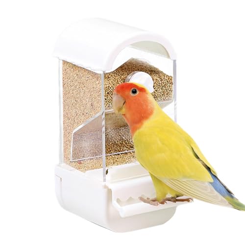 Generic Vogelfutterstation für Sittiche, Acryl, kein Durcheinander, für Käfig, Papageienschalen, Sittichkäfig-Zubehör für Kanarienvögel, Finken, Sittiche, Sittiche, Sittiche, Sittiche, Sittiche, Generic Vogelfutterstation für Sittiche, Acryl, kein Durcheinander, für Käfig, Papageienschalen, Sittichkäfig-Zubehör für Kanarienvögel, Finken, Sittiche, Sittiche, Sittiche, Sittiche, Sittiche, von Generisch
