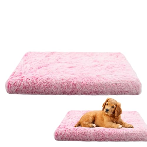 Generico Cat Heating Pad, Pet Heat Mat, Warm Sleeping Pad, Cozy Pet Mat, Portable Pet Heater, Washable Thermal Pad, Heated Pet Mat, Soft Pet Blanket for Indoor Outdoor Pets Generico Cat Heating Pad, Pet Heat Mat, Warm Sleeping Pad, Cozy Pet Mat, Portable Pet Heater, Washable Thermal Pad, Heated Pet Mat, Soft Pet Blanket for Indoor Outdoor Pets von Generisch