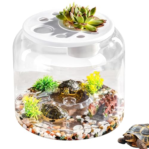 Generico Transparentes Schildkrötenaquarium mit Deckel | Terrariumgehege mit abnehmbarer Abdeckung für die meisten Wasserschildkröten von Generisch
