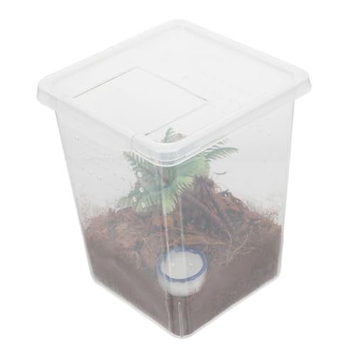 Generisch 1 Satz Spinnenbox Für Haustiere Zuchtbehälter Reptilfall Krabbeltierboxen Insektengehege Insektenbehälter Reptiliengehege Aus Kunststoff Spinnengehege Zubehör Spinnenpanzer Abs von Generisch