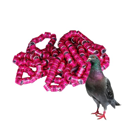 Generisch 2025 Taubenbeinringe, Vogelfußringe - 50 Stück Sichere Taubenzubehörbänder | Pigeon Supplies Bänder, Vogelfußringe, Pe-geon-Zubehör Für Rennpapageien, Küken, Enten von Generisch