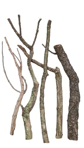 Generisch 5 Kork Äste 70-90cm lang, 1 Set Verschiedene Durchmesser, Terrarien, Vogelkäfige Generisch 5 Kork Äste 70-90cm lang, 1 Set Verschiedene Durchmesser, Terrarien, Vogelkäfige von Generisch