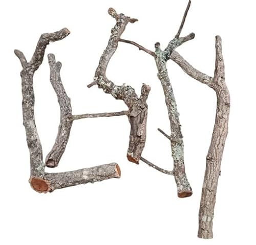 Generisch 5 Kork Äste 45-65 cm lang, 2-5 cm Durchmesser, Terrarien, Vogelkäfige,Deko, 100% Kork aus Portugal - TOP QUALITÄT- Generisch 5 Kork Äste 45-65 cm lang, 2-5 cm Durchmesser, Terrarien, Vogelkäfige,Deko, 100% Kork aus Portugal - TOP QUALITÄT- von Generisch