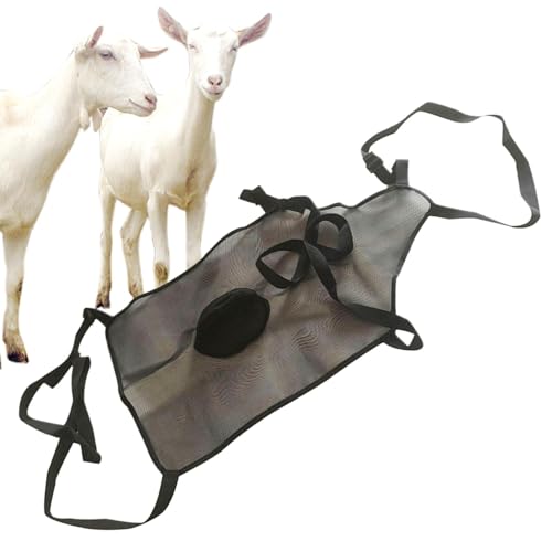 Generisch Anti-Paarungsrock für Ziegen, Anti-Paarungsschürze für Ziegen,Zuchtkontrolle Anti-Mating-Ziegenschürze - Mating Control Livestock Clothing Schafrock Ziegenschürze für Ziegenställe, Gras Generisch Anti-Paarungsrock für Ziegen, Anti-Paarungsschürze für Ziegen,Zuchtkontrolle Anti-Mating-Ziegenschürze - Mating Control Livestock Clothing Schafrock Ziegenschürze für Ziegenställe, Gras von Generisch