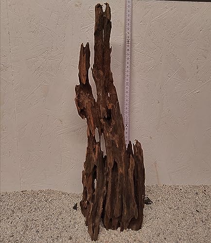 Generisch Aquariumdeko Holz : Wurzel für Dein Aquarium (Waben Holz, Termiten Wood, Aquariumwurzel Nr. 2) von Generisch