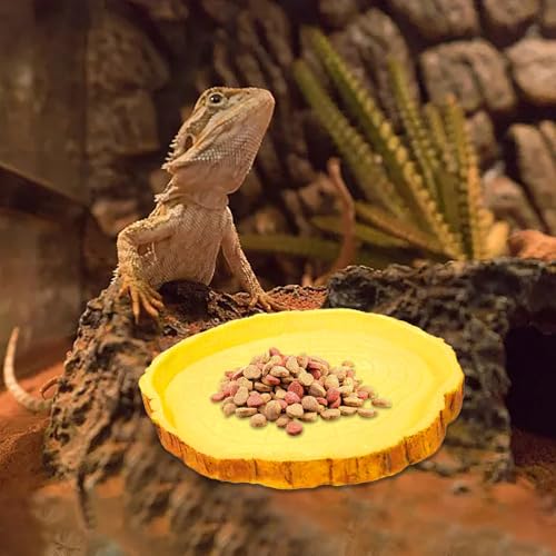 Generisch Futterschüssel Reptil Wasserschüssel Futterschüssel Terrarium Schildkröte Zubehör Futterschüssel für Amphibien Schlange Schildkröte Gecko Eidechsen Frösche Einsiedler Krabben (C) von Generisch