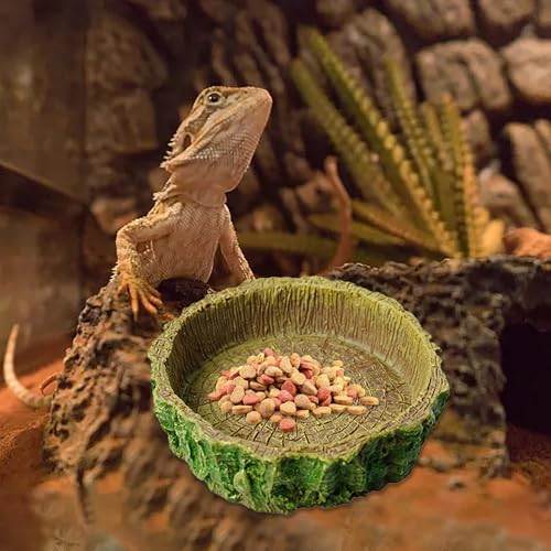 Generisch Futterschüssel Reptil Wasserschüssel Futterschüssel Terrarium Schildkröte Zubehör Futterschüssel für Amphibien Schlange Schildkröte Gecko Eidechsen Frösche Einsiedler Krabben (E) von Generisch