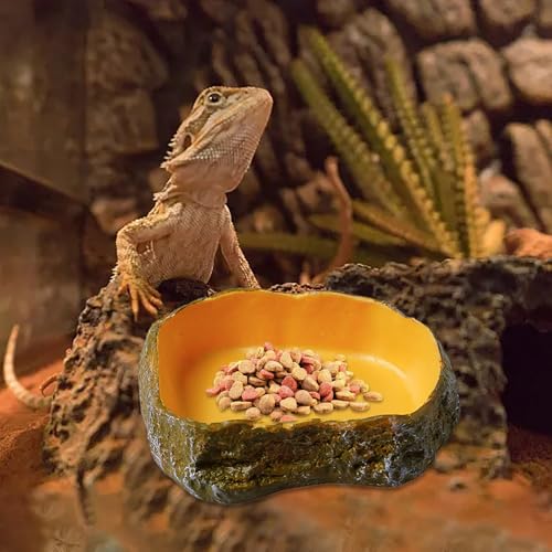 Generisch Futterschüssel Reptil Wasserschüssel Futterschüssel Terrarium Schildkröte Zubehör Futterschüssel für Amphibien Schlange Schildkröte Gecko Eidechsen Frösche Einsiedler Krabben (G) von Generisch