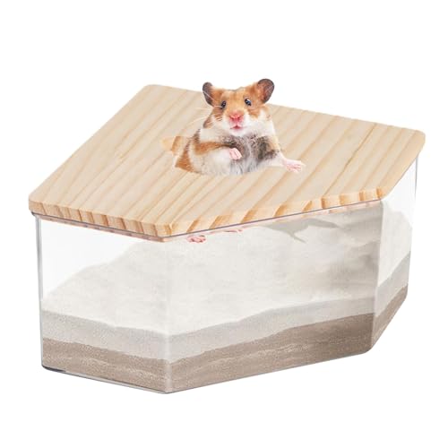 Generisch Hamster Badesandbehälter Staub Badebox Transparente Hamsterbox Zum Sandbaden Kleintiertoilette Rennmaus Badezimmer Mit Leiter Für Schlafzimmer Wohnzimmer Generisch Hamster Badesandbehälter Staub Badebox Transparente Hamsterbox Zum Sandbaden Kleintiertoilette Rennmaus Badezimmer Mit Leiter Für Schlafzimmer Wohnzimmer von Generisch