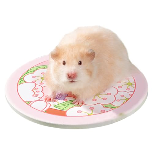 Generisch Hamster Kühlmatte - rutschfeste Kühlunterlage,Haustierzubehör, Kühlkissen Für Kleintiere Auf Schlafplatz, Sofa & Transportbox Generisch Hamster Kühlmatte - rutschfeste Kühlunterlage,Haustierzubehör, Kühlkissen Für Kleintiere Auf Schlafplatz, Sofa & Transportbox von Generisch