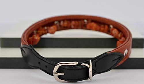 generisch Hundehalsband aus Leder mit natürlichem Baltischen Bernstein | Bernsteinkette für Hunde | Zeckenhalsband (35-41 cm) von generisch