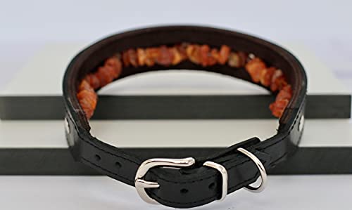 generisch Hundehalsband aus Leder mit natürlichem Baltischen Bernstein | Bernsteinkette für Hunde | Zeckenhalsband (50-55 cm) von generisch