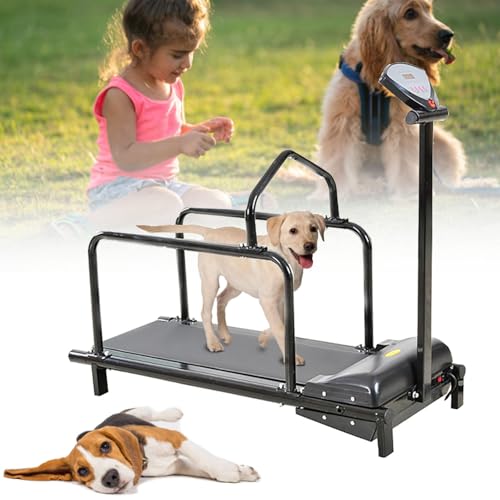 Generisch Hundelaufband für Hunde - Indoor-Laufband mit Display für Hundetraining und Gewichtsabnahme von Generisch
