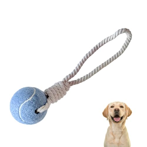 Generisch Hundespielzeug mit Seil und Ball - Hundeball, Robust & Bunt, für Wurf und Zerrspiele (Blau) von Generisch