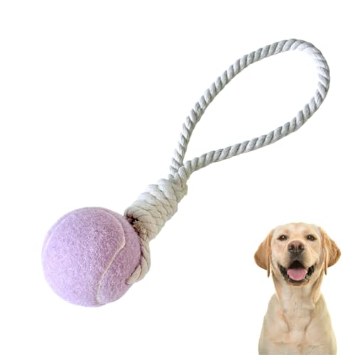 Generisch Hundespielzeug mit Seil und Ball - Hundeball, Robust & Bunt, für Wurf und Zerrspiele (Lila) von Generisch