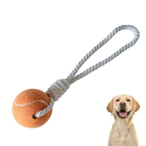 Generisch Hundespielzeug mit Seil und Ball - Hundeball, Robust & Bunt, für Wurf und Zerrspiele (Orange) von Generisch