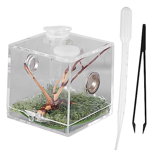 Generisch Kasten Springspinnen-zuchtbox Haubengecko Zubehör Für Geckos Mit Haube Mini-tierwächter Unterlage -Aquarium Einsiedlerkrebshaus Pflege Multi Schneckengehege Pumpe Acryl Generisch Kasten Springspinnen-zuchtbox Haubengecko Zubehör Für Geckos Mit Haube Mini-tierwächter Unterlage -Aquarium Einsiedlerkrebshaus Pflege Multi Schneckengehege Pumpe Acryl von Generisch