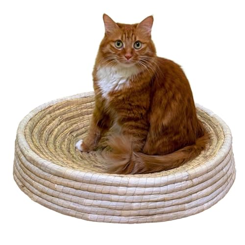Generisch Katzenbett rund aus natürlichem Stroh - für Haustiere wie Katzen als Kratzbrett, Hunde als Körbchen, Meerschweinchen, Hamster, Kaninchen Generisch Katzenbett rund aus natürlichem Stroh - für Haustiere wie Katzen als Kratzbrett, Hunde als Körbchen, Meerschweinchen, Hamster, Kaninchen von Generisch