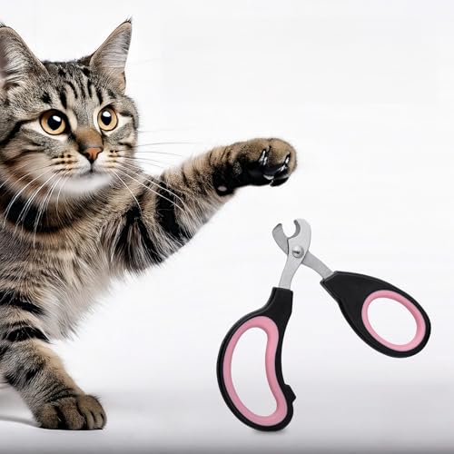 Generisch Krallenschere Katzen Schere für Anfänger toll geeignet,PremiumKrallenschere Liegt gut in der Hand, Katzen nagelschere ist sehr einfach und sicher anzuwenden!! von Generisch
