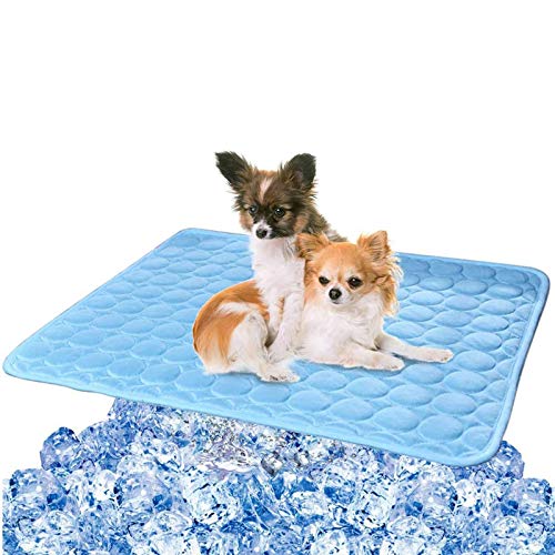 Generisch Kühldecke Hund und Katze, 60x50cm Kühlendes Hundebett Waschbar kühlmatte für Hunde Selbstkühlende Pads für Hunde Katzen im heißen Sommer Schlafmatten für Zuhause Unterwegs oder im Auto Generisch Kühldecke Hund und Katze, 60x50cm Kühlendes Hundebett Waschbar kühlmatte für Hunde Selbstkühlende Pads für Hunde Katzen im heißen Sommer Schlafmatten für Zuhause Unterwegs oder im Auto von Generisch