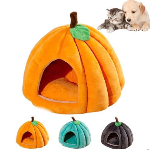 Generisch Kürbis-Katzenbett, Katzenbetten für Hauskatzen, süßes Katzenhaus im Kürbisstil, Katzenhöhle, Katzenbetten, mit abnehmbarem Kissen, Haustierbett, Nest, für kleine Katzen und Hunde (L,Orange) Generisch Kürbis-Katzenbett, Katzenbetten für Hauskatzen, süßes Katzenhaus im Kürbisstil, Katzenhöhle, Katzenbetten, mit abnehmbarem Kissen, Haustierbett, Nest, für kleine Katzen und Hunde (L,Orange) von Generisch