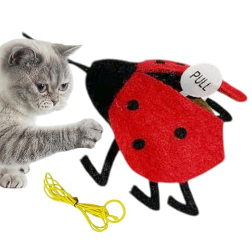 Generisch Ladybug -Katzenspielzeug, Katzenpatzlea | Schöner Sound Ladybug Catnip Ball | Eingebauter Vibrationssensor kleines Haustier-Unterhaltungsspiel für die Reiseanwendung Generisch Ladybug -Katzenspielzeug, Katzenpatzlea | Schöner Sound Ladybug Catnip Ball | Eingebauter Vibrationssensor kleines Haustier-Unterhaltungsspiel für die Reiseanwendung von Generisch