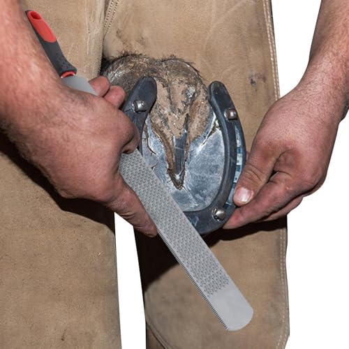 Generisch -Rasp -Datei | Doppelseitige Kohlenstoffstahl -Hufe -Rasp -Datei, Hufeisen -Trimmdatei Farrier -Werkzeuge Reparatur von Pferden/Eseln von harten Hufen Generisch -Rasp -Datei | Doppelseitige Kohlenstoffstahl -Hufe -Rasp -Datei, Hufeisen -Trimmdatei Farrier -Werkzeuge Reparatur von Pferden/Eseln von harten Hufen von Generisch