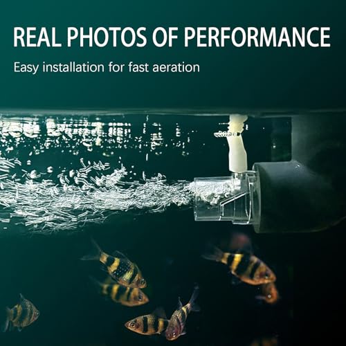 Generisch Sauerstoff für Fischtank, Keine Elektrizitätsauerstoffpumpe für Fischtankbelüte - Einstellbarer Durchflussrate -Zubehör -Filtersystem für Outdoor -Teich Axolotl Habitat Hydroponics System von Generisch