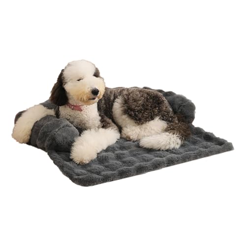 Generisch Sofa Hundebett Mit Nackenrolle & Antirutsch Unterseite | Universelle, Waschbare Hundematte Als Bequeme Sofa-Auflage Und Möbelschutz Für Mittelgroße Und Große Hunde Generisch Sofa Hundebett Mit Nackenrolle & Antirutsch Unterseite | Universelle, Waschbare Hundematte Als Bequeme Sofa-Auflage Und Möbelschutz Für Mittelgroße Und Große Hunde von Generisch