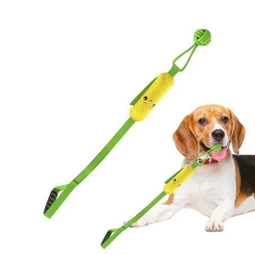 Generisch Spielseile Für Hunde - Robustes Quietschendes Hunde Spielseil,Baumwollknäuel Welpen Kauaccessoires Trainings Quietscher Für Starke Kauer Beschäftigung Bewegung Generisch Spielseile Für Hunde - Robustes Quietschendes Hunde Spielseil,Baumwollknäuel Welpen Kauaccessoires Trainings Quietscher Für Starke Kauer Beschäftigung Bewegung von Generisch