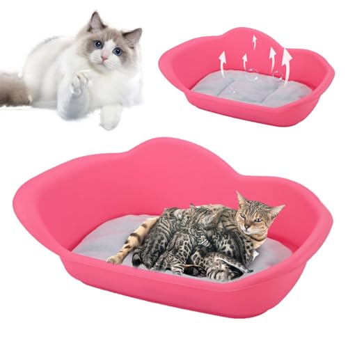 Generisch Whelping Box | Pet Delivery Bed with Cushion | Comfortable Dog Bed Large Washable | Large Calming Bedding & Furniture for Dogs and Cats Mattress Cushion Generisch Whelping Box | Pet Delivery Bed with Cushion | Comfortable Dog Bed Large Washable | Large Calming Bedding & Furniture for Dogs and Cats Mattress Cushion von Generisch