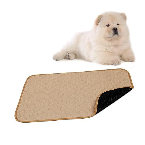 Generisch Wiederverwendbare Hundepipimatte Hunde-PIPI-Pads Trainingsunterlage für Welpen Hunde-Trocknungstuch, Badezubehör für Hunde Welpen Pads Pet Pee Pads Haustier-PIPI-Pad Beige Generisch Wiederverwendbare Hundepipimatte Hunde-PIPI-Pads Trainingsunterlage für Welpen Hunde-Trocknungstuch, Badezubehör für Hunde Welpen Pads Pet Pee Pads Haustier-PIPI-Pad Beige von Generisch