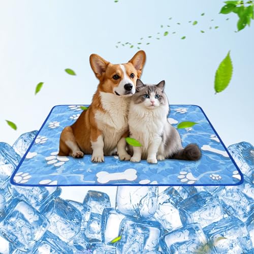 Generisch Hundematte & Katzenmatte, 70x100cm Kühlmatte Hund, Ungiftig Kühlmatte Für Hunde, Waschbar Kühlmatte Katze, Kühldecke Hund, Hunde Kühlmatte, Hundekühlmatte, Für Drinnen, Draußen Und Auto Generisch Hundematte & Katzenmatte, 70x100cm Kühlmatte Hund, Ungiftig Kühlmatte Für Hunde, Waschbar Kühlmatte Katze, Kühldecke Hund, Hunde Kühlmatte, Hundekühlmatte, Für Drinnen, Draußen Und Auto von Generisch