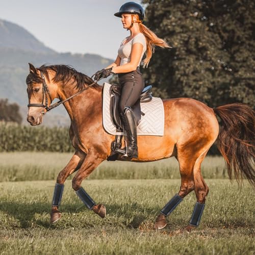 Generische 4 -Stück -Pferdestiefel, Pferdefliegenstiefel, Mesh -Beinwächter verstellbare Sommerelemente Schutz, Leichtes und Komfortables, verstellbar für Farm Grasland Nutzung Generische 4 -Stück -Pferdestiefel, Pferdefliegenstiefel, Mesh -Beinwächter verstellbare Sommerelemente Schutz, Leichtes und Komfortables, verstellbar für Farm Grasland Nutzung von Generisch