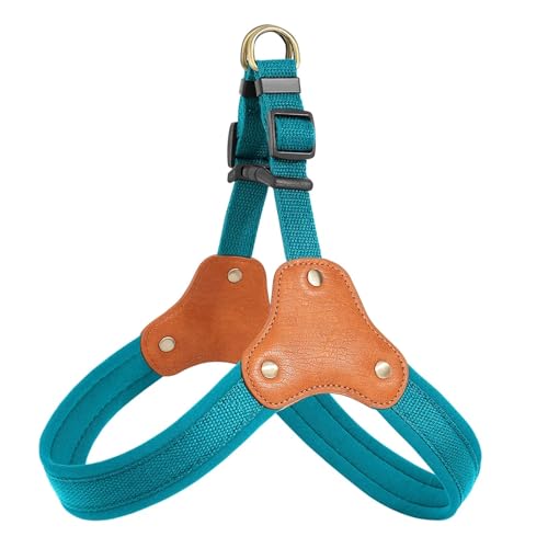 Gepolstertes Hundegeschirr, Nylon, Leder, langlebig, für mittelgroße und große Hunde, Französische Bulldogge, Labrador, Spazierengehen, Training (Blau, S) von Generisch