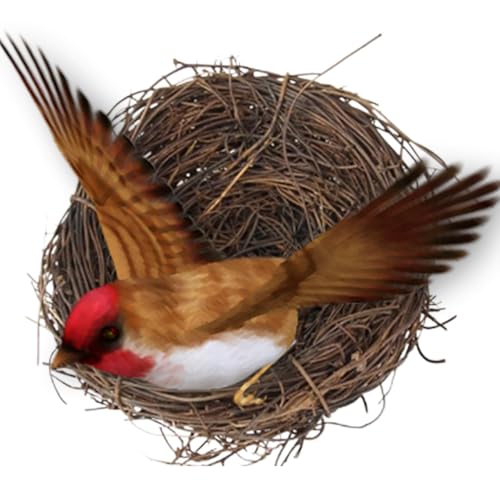 Gewebtes Vogelbrutnest - Natürliches Vogelnest | Finkenhaus Einstreu | | Vögel Nistkasten | Handgefertigter gewebter | Brutschutzgebiet | Käfigzubehör für Komfort von Generisch