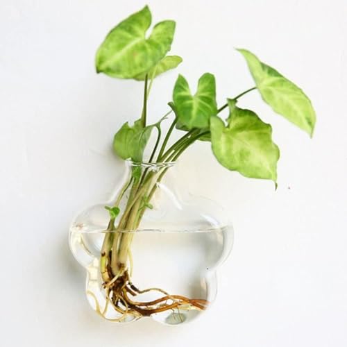 Glas-Pflanzgefäß zum Aufhängen, runder Glas-Pflanztopf, Blumenvase, Pflanzen-Terrarien, für Heimdekoration (10) von Generisch