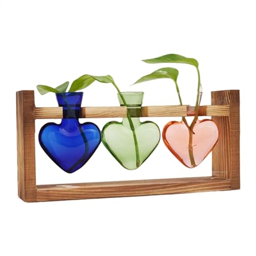 Glas-Terrarien für Pflanzen – Pflanzen-Terrarium in Herzform Glasvase | Blumenvase mit Holzständer, Tisch-Pflanzgefäß für Hydrokultur, Heimdekoration, Gartendekoration von Generisch