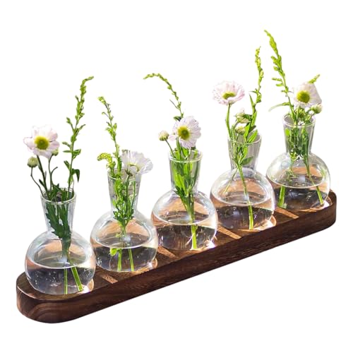 Glasterrarien für Pflanzen – Wasservermehrungsstation mit Glühbirnenvase & Holzrahmen | Hydrokultur Anzuchtvase im Retro-Stil, Deko-Terrarium für Stecklinge, Vermehrung & Innenbegrünung Glasterrarien für Pflanzen – Wasservermehrungsstation mit Glühbirnenvase & Holzrahmen | Hydrokultur Anzuchtvase im Retro-Stil, Deko-Terrarium für Stecklinge, Vermehrung & Innenbegrünung von Generisch