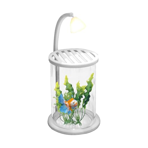 Glowing Desk Aquarium - 3.5 Liters Clear Desktop Fish Tank for Home, Office, Classroom, Study Rooms, Living Room, Thickened Ornament for Desk and Table Decor, Led Glowings Lighting Glowing Desk Aquarium - 3.5 Liters Clear Desktop Fish Tank for Home, Office, Classroom, Study Rooms, Living Room, Thickened Ornament for Desk and Table Decor, Led Glowings Lighting von Generisch