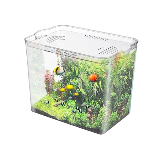 Goldfischbecken, Aquarium für Anfänger,Transparentes stapelbares kleines Aquarium | Tischaquarium für kleine Fische, Schildkrötenbecken, kleines Fischglas für temporären Raum Goldfischbecken, Aquarium für Anfänger,Transparentes stapelbares kleines Aquarium | Tischaquarium für kleine Fische, Schildkrötenbecken, kleines Fischglas für temporären Raum von Generisch